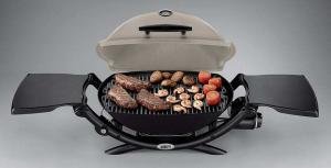 weber Q 2200