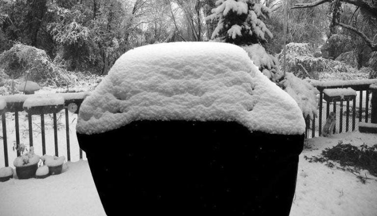 barbecue con copertura sotto la neve