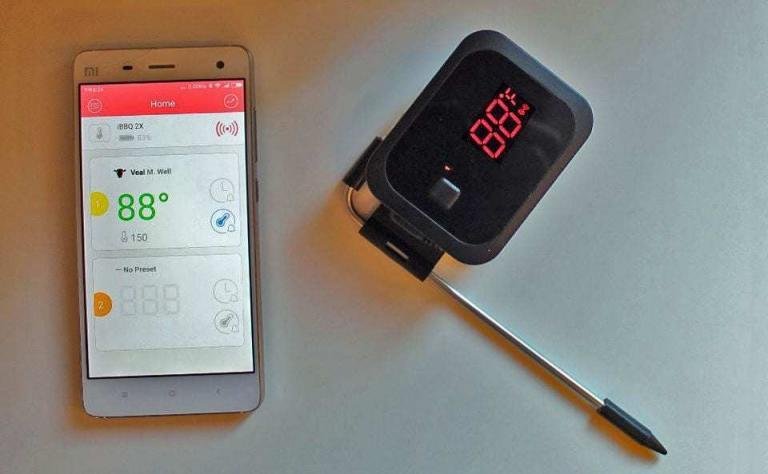 Termometro Bluetooth Inkbird IBT-2X