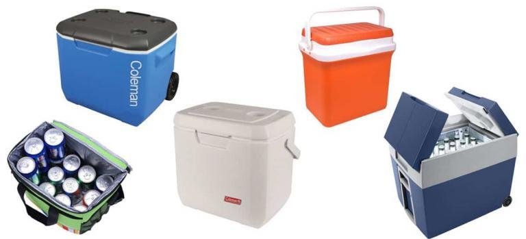 Miglior borsa frigo rigida