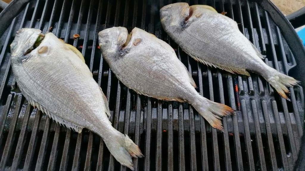 pesce alla griglia