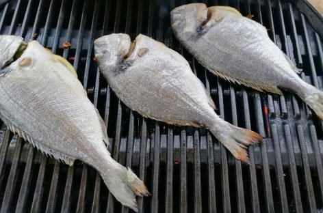 Pesce alla griglia: la guida per principianti