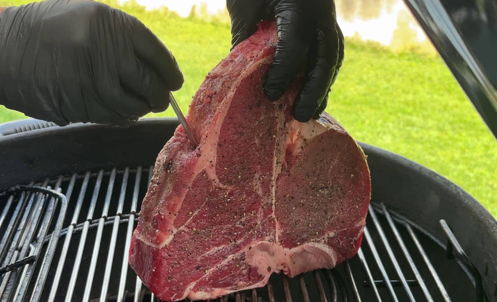 dove inserire la sonda del termometro nella carne